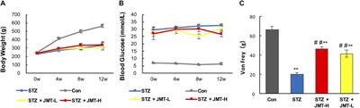 A Metabolic Insight Into the Neuroprotective Effect of Jin-Mai-Tong (JMT) Decoction on Diabetic Rats With Peripheral Neuropathy Using Untargeted Metabolomics Strategy